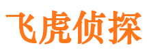 和龙侦探公司